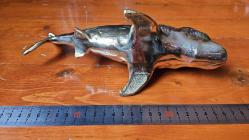 PİRİNÇ KÖPEK BALIĞI  ( JAWS )