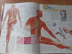 E.Explore : Human Body