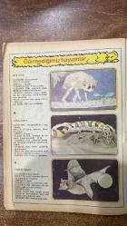 KUMBARA DERGİSİ -OCAK 1982 – SAYI:39 - A. BÜLENT AYDIN - YILMAZ SEVİMLİ - MUSTAFA DELİOĞLU - AYFER ESTİ - AYŞE ESTİ - AYNUR ÖZKUL - NURDAN GÖRENLİ - N. AYLİN ÇELİKBİLEK - ŞEYDA BELCE - DOLUNAY GÜLMEZ - Z. CANDAN ÖKTEN - AHMET TUMKAYA - EROL YILDIRIM - BİLGİN ÖZKAN BALYOS - HALİL KARLI - TURAN SAVAŞ - MÜSLİM TÜRKYILMAZ - UĞUR POLAT - MUHSİN TÜRKYILMAZ - ALİ KURT - ŞAFAK OKUTAN - ALİ OKUTAN - DURMUŞ YAYLA - BAYRAM KETEN - UĞUR GÜN - CAN KURT - AZİZ NICHOLAS - YENİ YIL MESAJI / ATATÜRK’ÜN 100. DOĞUM YILI ANISI - OKURLARDAN MEKTUPLAR - ÇİZGİ ROMANLAR VE DERGİ KÖŞELERİ ÜZERİNE TARTIŞMALAR - SÜPERMEN VE BİLİMİN GERÇEKLERİ - DEMRE’Lİ NOEL BABA / AZİZ NICHOLAS - POSTAYA VERİN! (ANLATIM) - AĞRI TARİHÇESİ / URARTU’DAN OSMANLI’YA - AĞRI FOLKLORU / İSHAKPAŞA SARAYI VE YÖRESEL KIYAFETLER - BUDİZM VE HİNDUIZM / NEPAL RUPİSİ   -32 SAYFA
