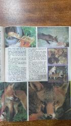 EMLAK ÇOCUK DERGİSİ -  NİSAN 1991 – SAYI:26 - O. ZAFER KÜLTÜRLÜ - NİHAL SÖNMEZ - YALVAÇ URAL - ŞAHİN ERKOÇAK - AYŞEGÜL ATAY - FERİT AVCI - ERAY CANBERK - BERRİN TABLACIOĞLU - NECATİ GÜNGÖR - CEYHUN ATUF KANSU - SEVİM AK - HUBAN KORMAN - YUSUF ÇOTUKSÖKEN - ÖMER BEDRETTİN UŞAKLI - SUNDER ERDOĞAN - SEVDA TEYZE - NASRETTİN HOCA - ALİ BABA - ABDÜL - ATAOL BEHRAMOĞLU - KEITH COOGAN - LUCY DEAKINS - TED - SUSAN - 23 NİSAN SEVİNCİ - DÜNYA ÇOCUKLARI (ŞİİR) - ÖYKÜ / ELMA KOKULU KADIN - TARİHTEN SAYFALAR / 23 NİSAN - MERAK ETTİKLERİNİZ - ÖNEMLİ GÜNLER - DİLİMİZ / NOKTALAMA İŞARETLERİ - ALİ BABA / MUTLULUK ÜLKESİ - HAYVANLAR ÂLEMİ / TİLKİLER - MARKET - ÖNEMLİ GÜNLER VE HAFTALAR - EL BECERİSİ - SİZİN DE BİR AĞACINIZ OLSUN - BİR KİTAP BİR YAZAR - YEMEK PİŞİRELİM - BİLMECE BULMACA - SİZDEN GELENLER - SUÇİÇEĞİ VE SEVDA TEYZE ÖYKÜSÜ - ULUSLARARASI 23 NİSAN KATILIMCILARI (1979–1990) - TİYATRO / WALT DISNEY “CHEETAH” - MASAL / YİĞİTLER YİĞİDİ UÇAN AT (ATAOL BEHRAMOĞLU) - SİNEMA / JOE VERSUS THE -34 SAYFA