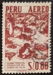 +++ PERU KUŞLAR        1959 - DAMGALI