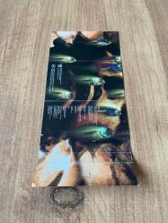 Mercan Dede - Su Kaset ( Ab-ı Nafi feat Ceza bu albümde )