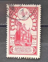 1917-  25 Kr. POSTA. PULU DAMGALI.