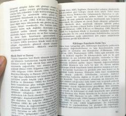 Kültür ve Psikiyatrik Tanı - DSM-IV Bakış Açısıyla