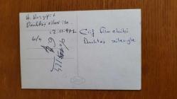 YEŞİLÇAM'IN YILDIZI HÜLYA KOÇYİĞİT'İN ORİJİNAL FOTOĞRAFI  - 14 x 9 cm EBADINDA - HÜLYA KOÇYİĞİT, RAUF DENKTAŞ ve AİLESİYLE BİRLİKTE TOPLUCA HATIRA POZU VERİRKEN ÇEKİLMİŞ BİR KARE. KASIM 1974