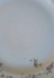 ORJİNAL MZ ÇEKOSLAVAKYA 2 ADET TABAK