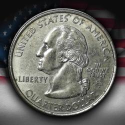 ABD 2005 YILI ¼ Dolar Minnesota ÇİLALTI