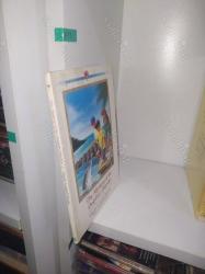 Mystery of the Dolphin Detective (Three Cousins Detective Club)