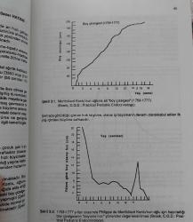 PEDİATRİ DERS NOTLARI 1