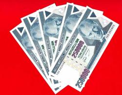 50.Yerli ve Yabancı Para --  LOT  -- Müzayedesi