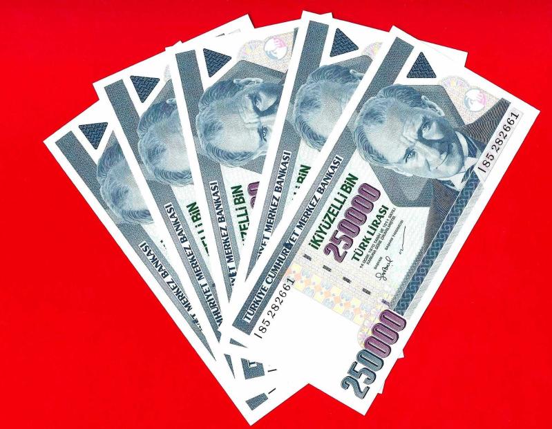 50.Yerli ve Yabancı Para --  LOT  -- Müzayedesi