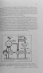 FİZYOLOJİ DERS KİTABI - CİLT 2