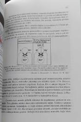 FİZYOLOJİ DERS KİTABI - CİLT 2