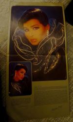 Bülent Ersoy ( Düşkünüm Sana) Plak LP