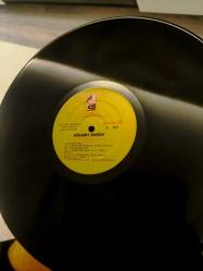 Bülent Ersoy ( Düşkünüm Sana) Plak LP