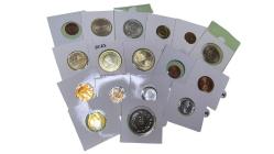 karışık farklı yerli madeni para lotu çil