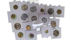 karışık yerli madeni para lotu çil