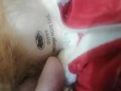 1990 DAMGALI PORSELEN BEBEK KIRMIZI ŞAPKALI GÜZEL KIZ YILBAŞI ELBİSELİ, AYAKKABILI