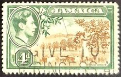+++  JAMAICA K. GEORGE VI ,   NARENCİYE BAHÇESİ       1938   4.D   - DAMGALI