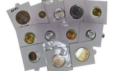 karışık yerli madeni para lotu çil