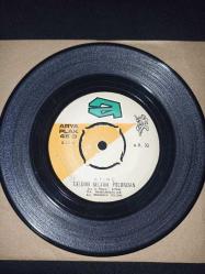 Atınç, Ergüdar Yoldaş - Geldim Geçtim Yolundan - Gözlerin Nasıldı Hatırlayamadım 45'lik Nadir Plak