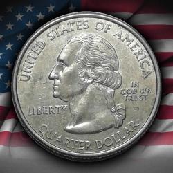 ABD 2003 Yılı ¼ Dolar Illınois ÇİLALTI