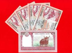 5 Adet NEPAL 5 Rupees 2020 P 76 New Sign UNC ÇİL