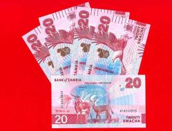5 Adet Zambia 20 Kwacha 2024 2025 P 63 Deer EAGLE UNC ÇİL