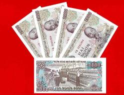 5 Adet Vietnam 2000 Dong 1988 UNC ÇİL