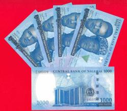 5 Adet Nigeria 1000 Naira 2024 P 49 New Design UNC ÇİL