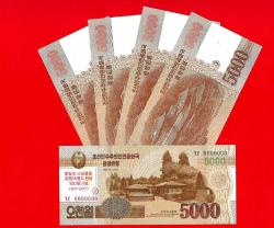 5 Adet NORTH KOREA 5000 WON 2013 SPECIMEN UNC  ÇİL