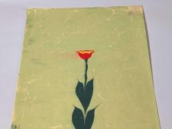 Ebru Sanatı - El İşi Ebru - Karanfil Çiçek Desenli - Duvar Dekoru - Sanatçı: Muhammed Aydın - 2013 Tarihli - 49 cm x 34 cm -