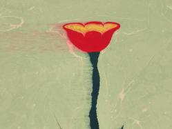 Ebru Sanatı - El İşi Ebru - Karanfil Çiçek Desenli - Duvar Dekoru - Sanatçı: Muhammed Aydın - 2013 Tarihli - 49 cm x 34 cm -