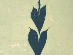 Ebru Sanatı - El İşi Ebru - Karanfil Çiçek Desenli - Duvar Dekoru - Sanatçı: Muhammed Aydın - 2013 Tarihli - 49 cm x 34 cm -