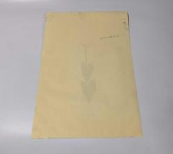 Ebru Sanatı - El İşi Ebru - Karanfil Çiçek Desenli - Duvar Dekoru - Sanatçı: Muhammed Aydın - 2013 Tarihli - 49 cm x 34 cm -