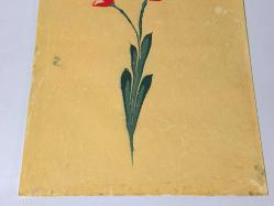 Ebru Sanatı - El İşi Ebru - Karanfil Çiçek Desenli - Duvar Dekoru - Sanatçı: Muhammed Aydın - 2013 Tarihli - 49 cm x 34 cm - Süper