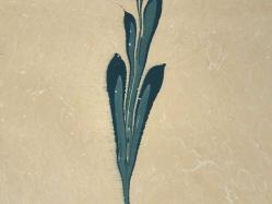 Ebru Sanatı - El İşi Ebru - Karanfil Çiçek Desenli - Duvar Dekoru - Sanatçı: Muhammed Aydın - 2013 Tarihli - 49 cm x 34 cm - Süper