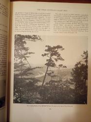 The Scenic Resources of the Tennessee Valley:  A Descriptive and Pictorial Inventory  (Bez Ciltli)