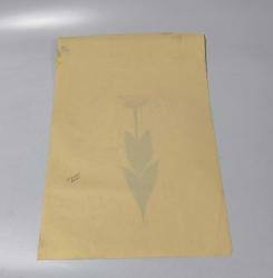 Ebru Sanatı - El İşi Ebru - Karanfil Çiçek Desenli - Duvar Dekoru - Sanatçı: Muhammed Aydın - 2013 Tarihli - 49 cm x 34 cm - SARILI