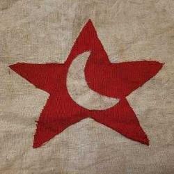 ESKİLERDEN HİMAYEİ ETFAL FLAMA. EL DİKİMİ. NADİR.