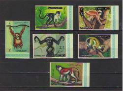 Ajman 1972 - Maymunlar - Hayvanlar - MNH - Damgasız - İmperfore