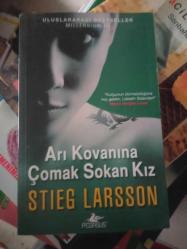 ARI KOVANINA ÇOMAK SOKAN KIZ