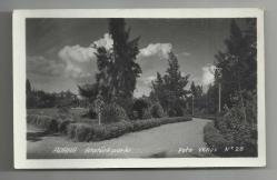FOTO VENÜS / ADANA ATATÜRK PARKI KONULU ÇİL DURUMDA ESKİ FOTOKART...