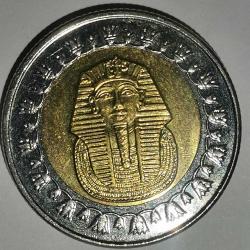 MISIR  2022   1  POUND
