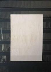 1945 NÜFUS SAYIMI HATIRA BLOK PULU