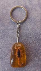 REÇİNE İÇİNE KONULMUŞ GERÇEK AKREP ANAHTARLIK.  SIFIR ÜRÜN . KOLEKSİYONLUK