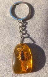 REÇİNE İÇİNE KONULMUŞ GERÇEK AKREP ANAHTARLIK.  SIFIR ÜRÜN . KOLEKSİYONLUK