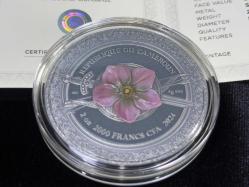 Cameroon Kamerun 2024 Amazon Femina Bellator Gümüş Sikke – 2 oz .999 (500 Adet Limitli)