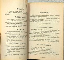 EN GÜZEL SEÇME SEKS FIKRALARI