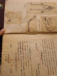 Defter- Işık Lisesi ilk kısım  Tabiat Defteri 1950 - Y üksel Ü.